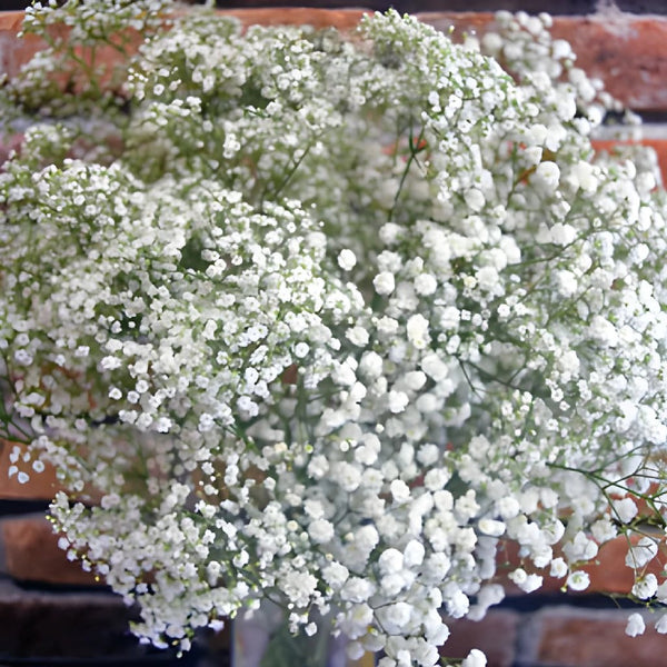 6 Bunches Babys Breath Artificial Flowers 3 Branches/bunch Gypsophila Real  Touch Faux Babies Breath Gypsophila Bouquet for Wedding Centerpiece Floral  Arrangement Party