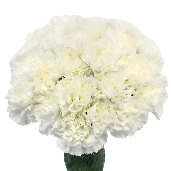 Buy Wholesale WEDDING BELLE Bouquet Holder, Large in Bulk - FiftyFl