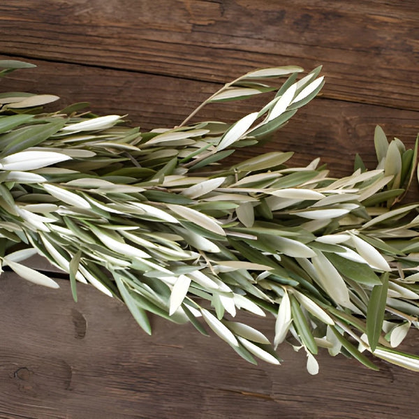 Buy Wholesale Bay Leaf and Rosemary Greens Garland in Bulk - FiftyF