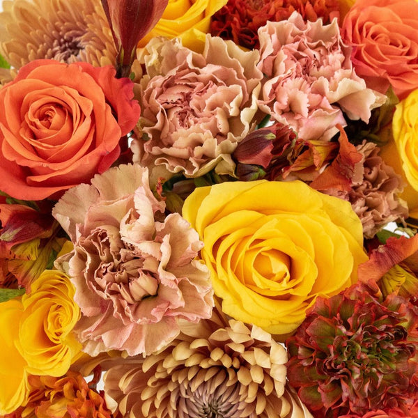 Buy Wholesale Dark Orange Flowers in Bulk - FiftyFlowers