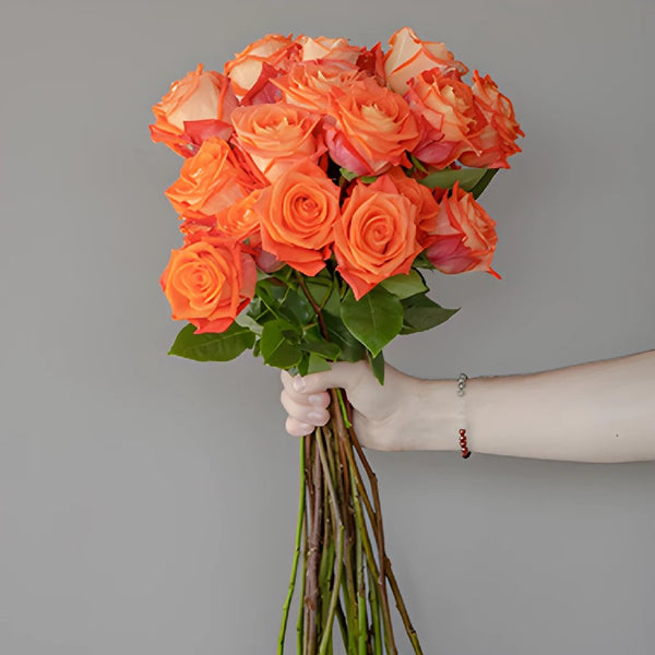 Buy Wholesale Aurora Rose in Bulk - FiftyFlowers