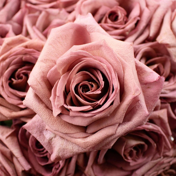 Buy Wholesale Art Deco Ruffled Pink Rose in Bulk - FiftyFlowers