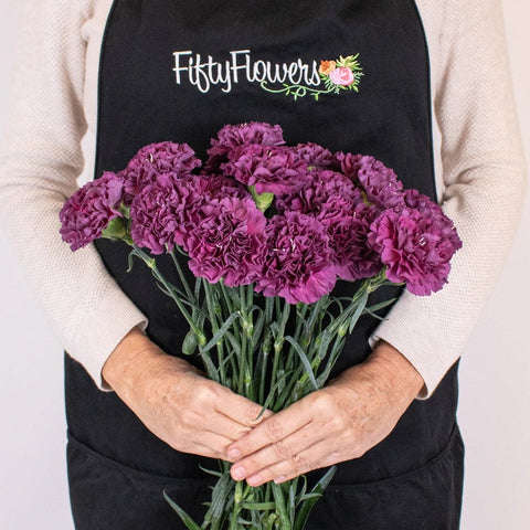 Wholesale Plum Purple Carnations ᐉ bulk Plum Purple Carnations online ...