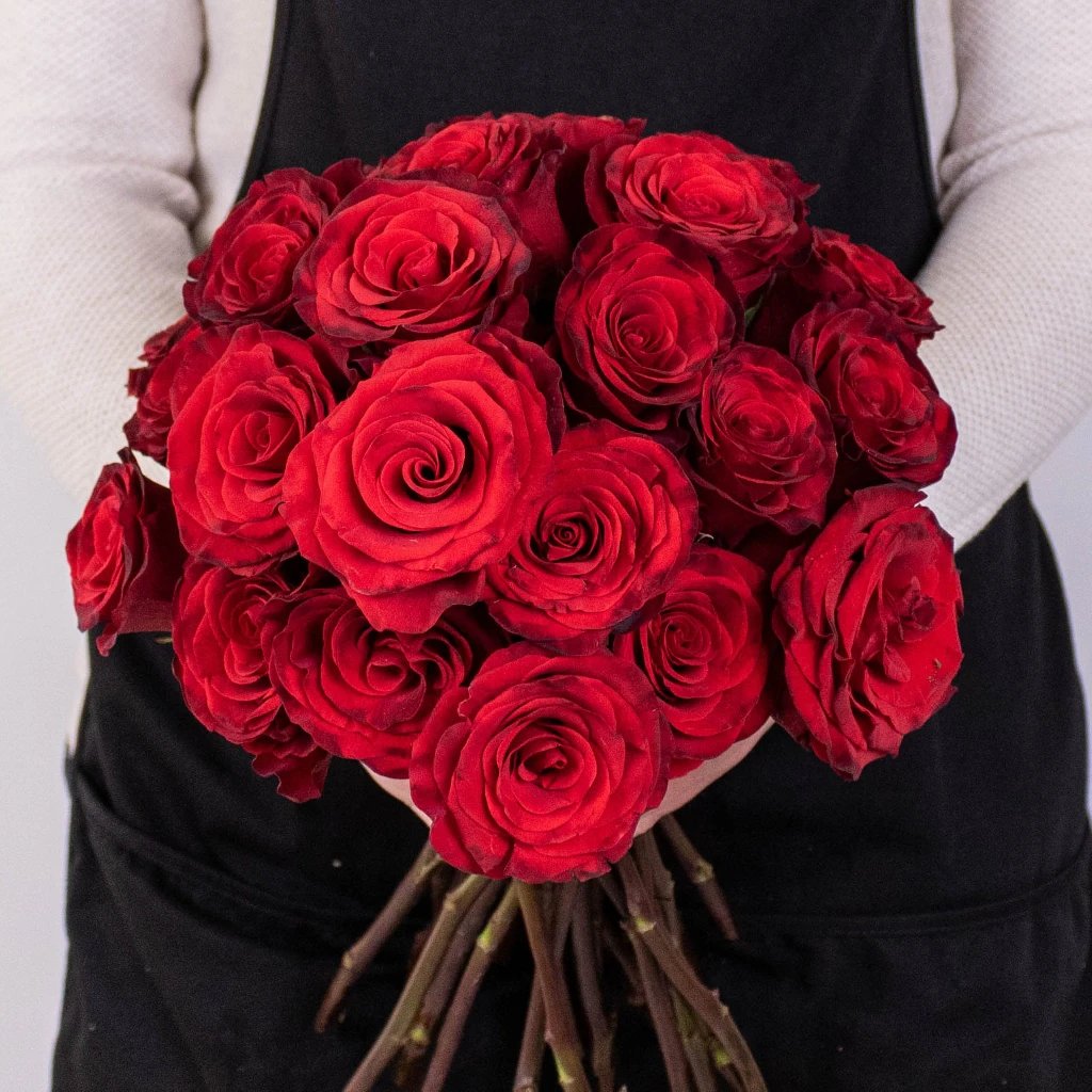 Wholesale Radiant Red Bulk Rose - bulk Radiant Red Bulk Rose online ...