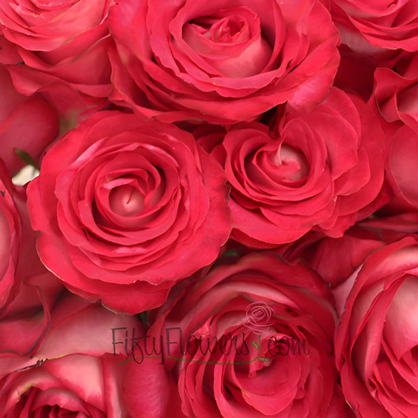 Buy Wholesale Raspberry Pink Bulk Rose Petals in Bulk - FiftyFlowers