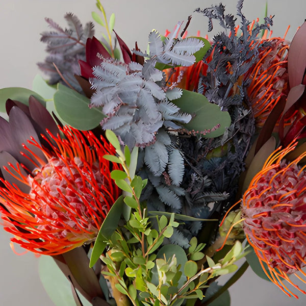 Blushing Bride Protea  South African Fresh Flower Exporters