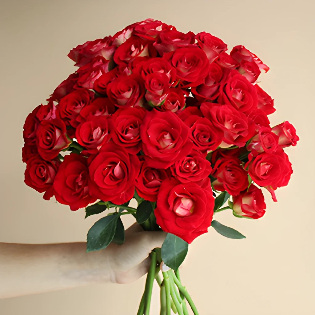 Lets Tango Red Spray Roses | FiftyFlowers