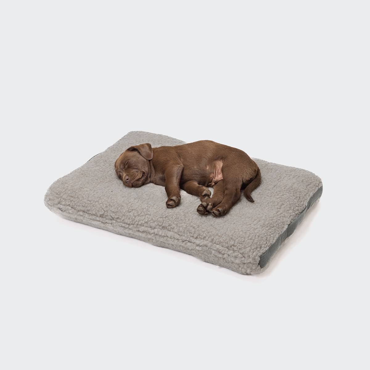 Billede af Hundeseng Siesta Teddy, en fluffy drøm! - M (75x55x10cm)