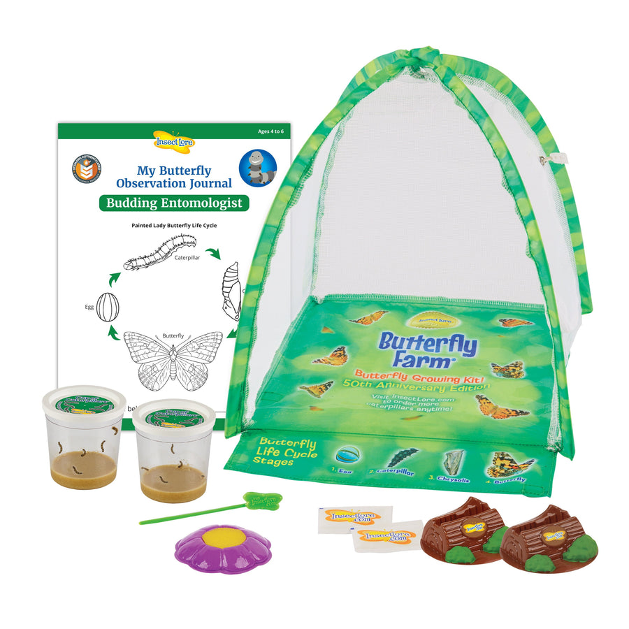  Insect Lore Live Baby Ladybug Larvae - Ladybug Growing Kit  REFILL with Ladybug Life Cycle Toy Figurines - SHIP NOW : Toys & Games