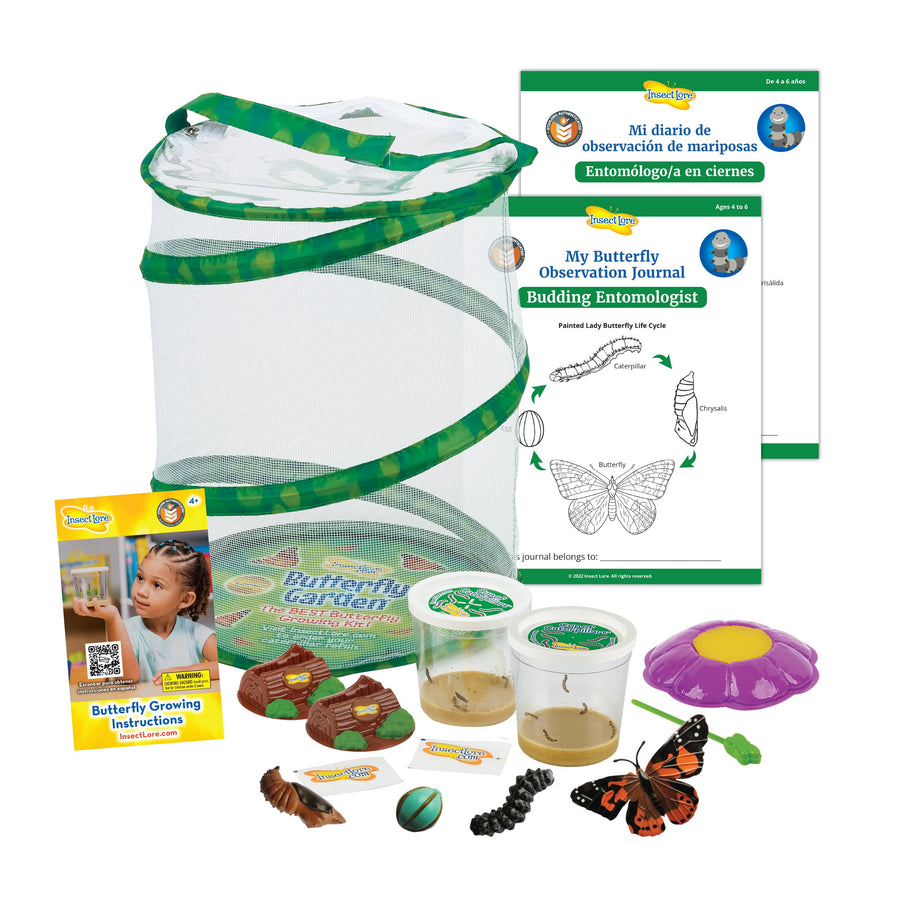 Insect Lore Ladybug Land Hatching Kit (ILP2100)