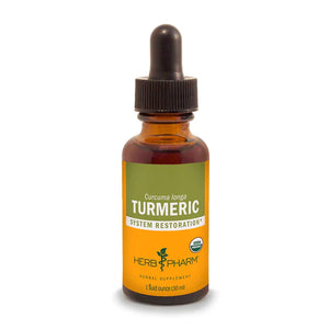 Turmeric Tincture - Bear Necessity Deliveries