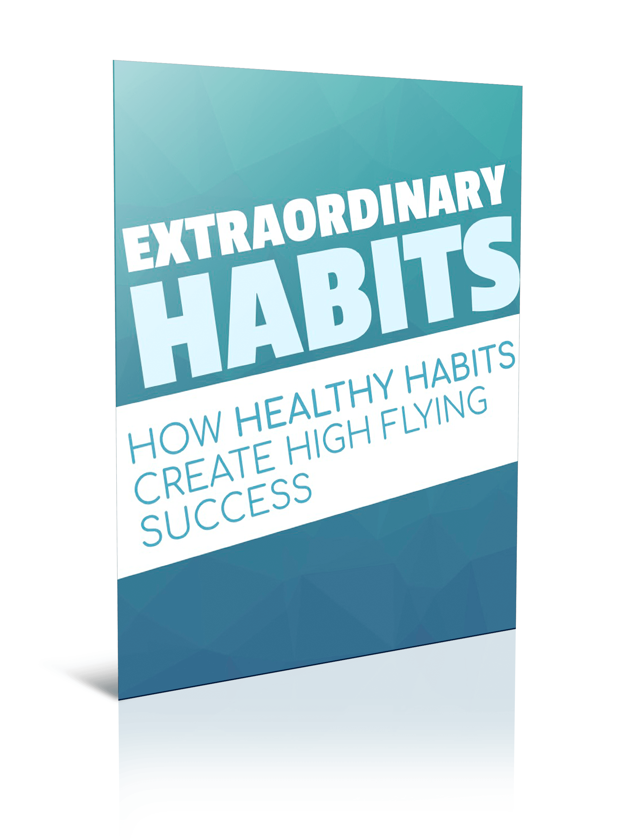 Extraordinary Habits - How Healthy Habits Create High Flying Success