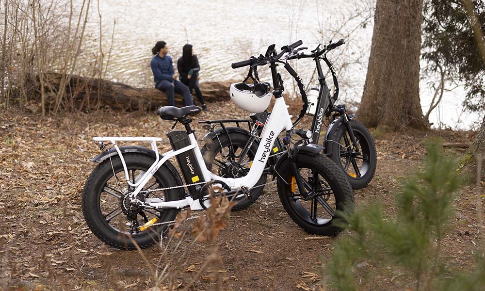 two Ranger e-bikes on path