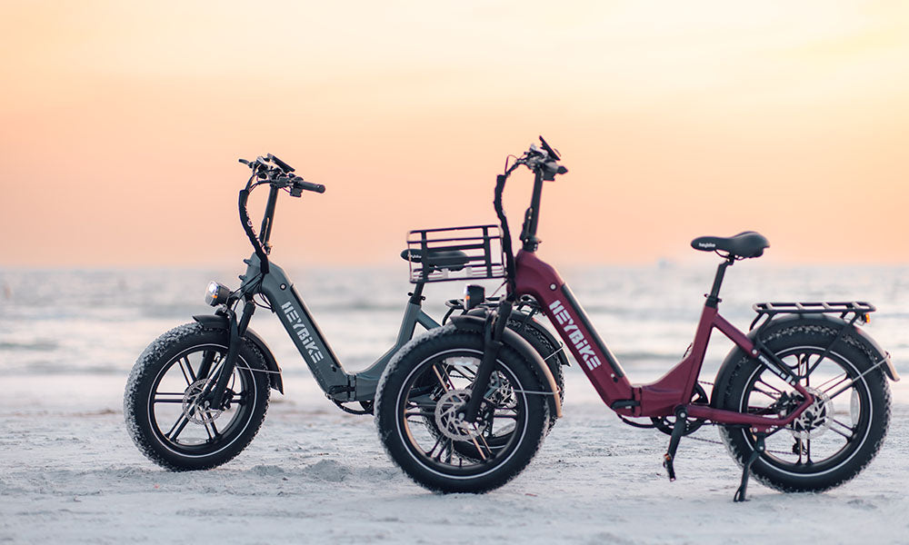 Ranger S low-step folding ebike