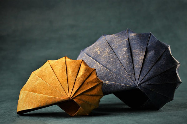Coquillages en origami pliés par Pierres-Yves Gallard