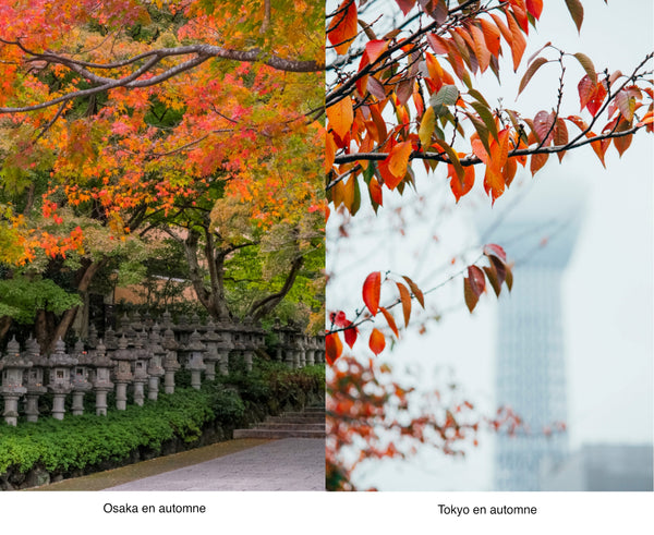 Osaka et Tokyo en automne