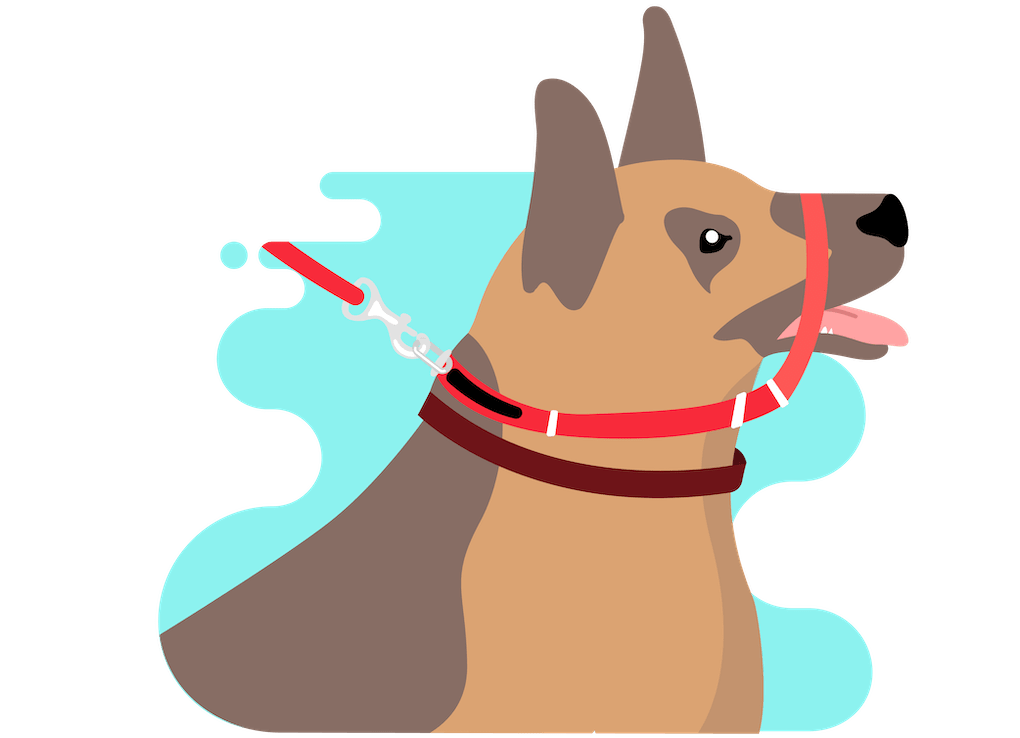 Cartoon graphic of dog wearing red Canny Collar