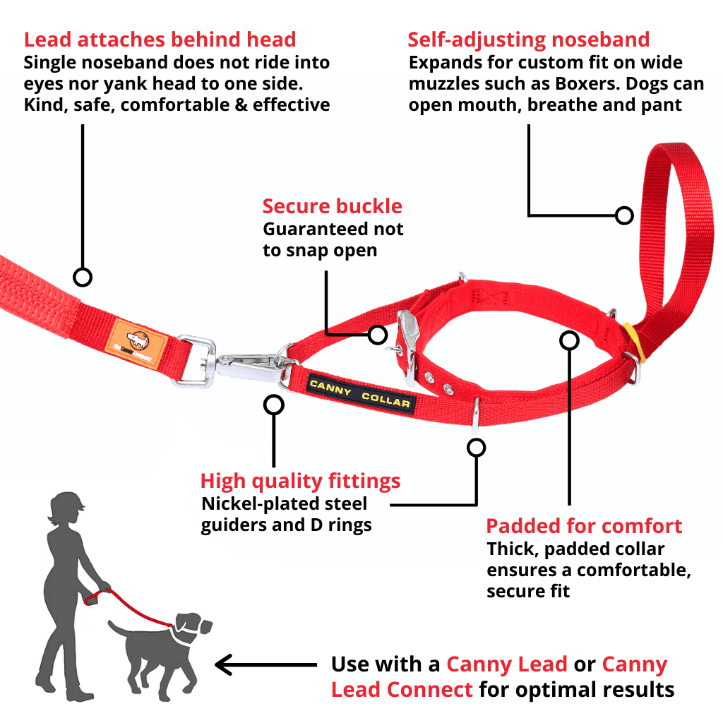 Benefits of the Canny Collar. Head collar features self-adjusting noseband, padded collar, high quality fittings and a secure buckle. Leash fastens behind the head