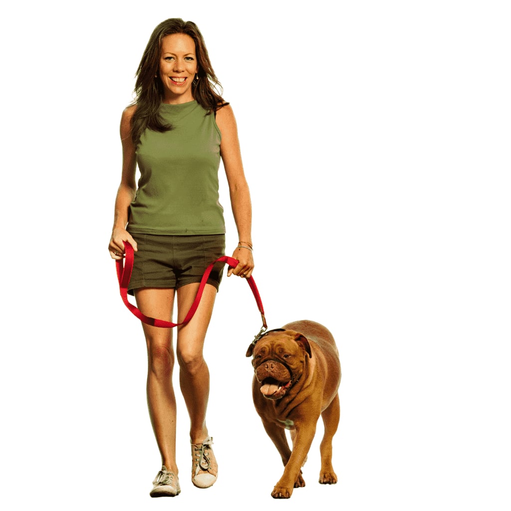 Woman training mastiff not to pull on leash while wearing a Canny Collar