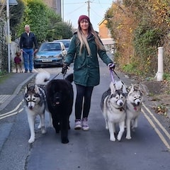 Dog trainer Jodie Woodward walking 4 dogs