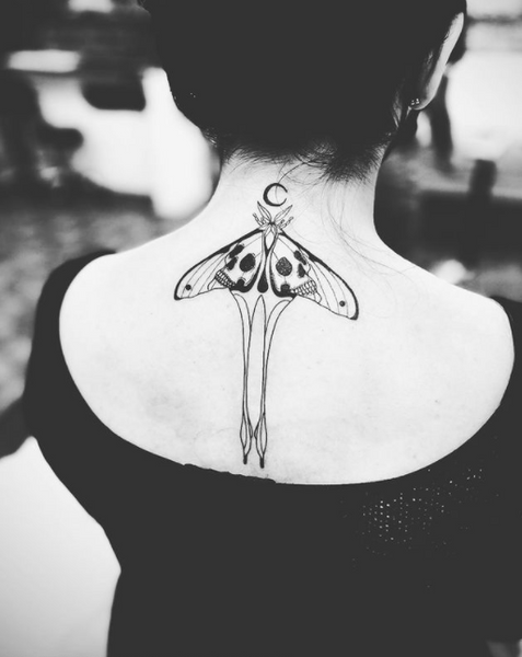 Luna Moth Temporary Tattoo  Drift  Amble