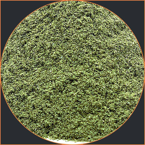 Olive Leaf Powder (Organic) 1oz | Alkaline Electrics
