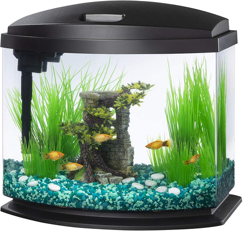 fish tank