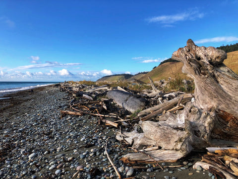 Ebey's Landing Hike, Washington (Photo by Kira Bottles)