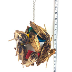 Pod Party bird toy for African greys