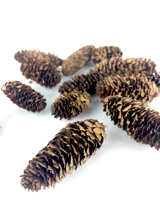 BYHER Pine Cones, Mini Pinecones in Bulk for Crafts, 8OZ, Pack of 110  (Natural)
