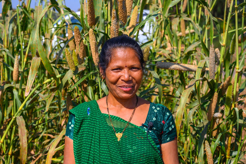 Indian farmer in a field of pearl millet