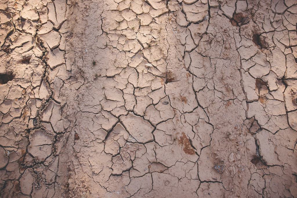 clay skincare ingredient for oily skin 