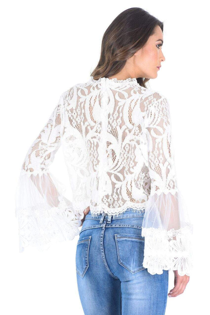 Cream Sheer Lace Long Sleeve Top Ax Paris Us 7793