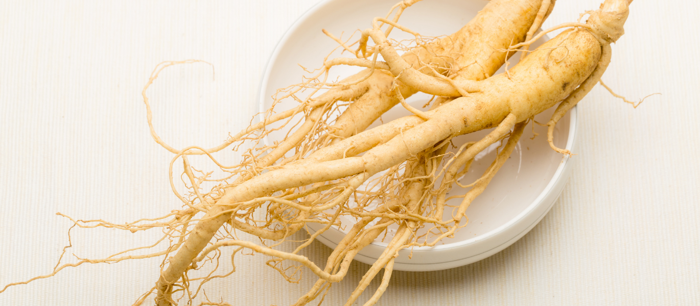 Ginseng auf Teller gesund Energie