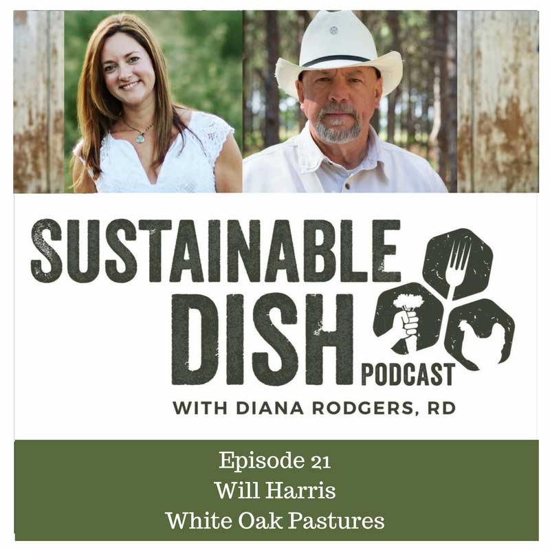 Sustainable Dish Podcast