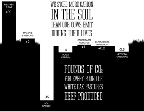 Infographic showing various sources of carbon emissions and sequestration for net total emissions of -3.5