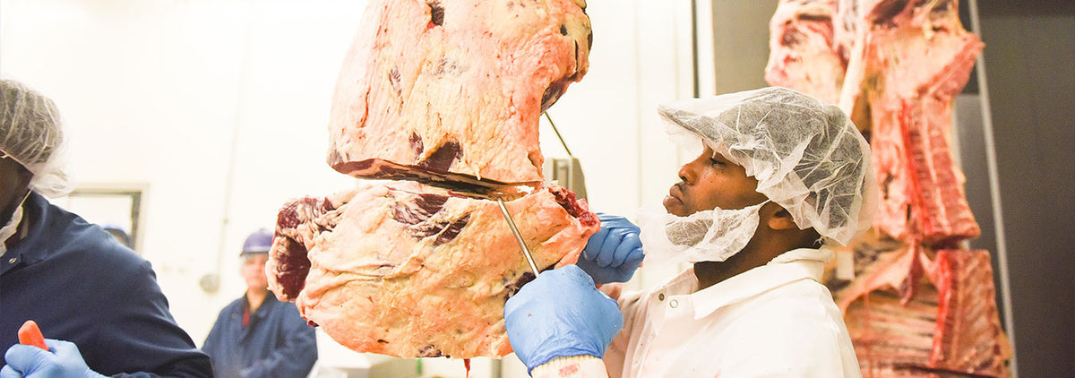 Butcher cutting from a hanging slab of meat