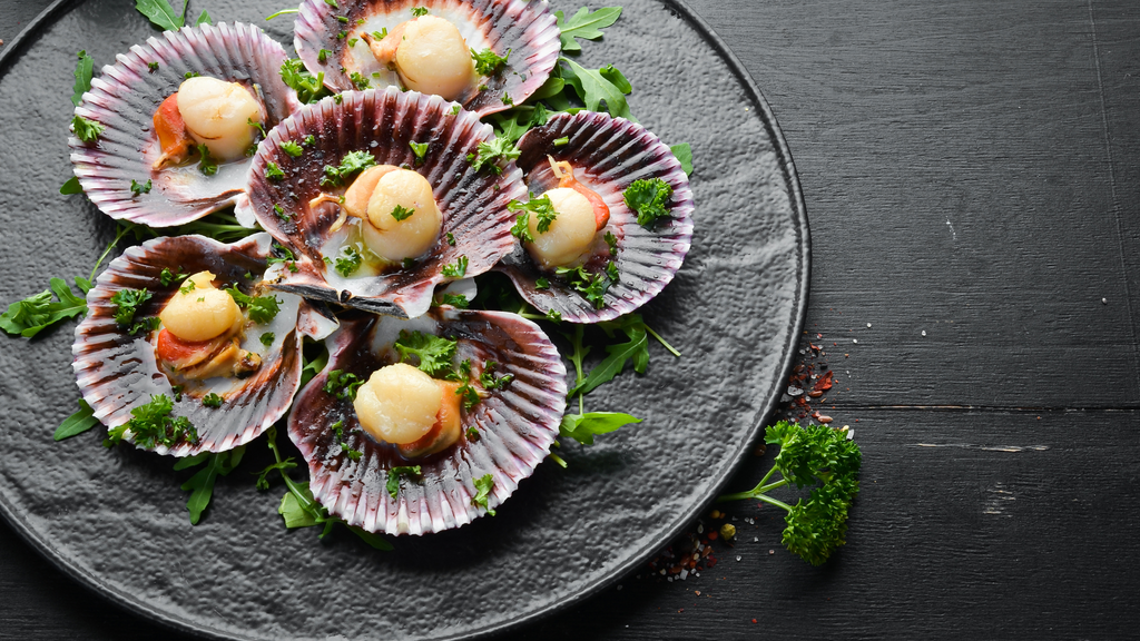 Coquilles Saint-Jacques met truffelboter