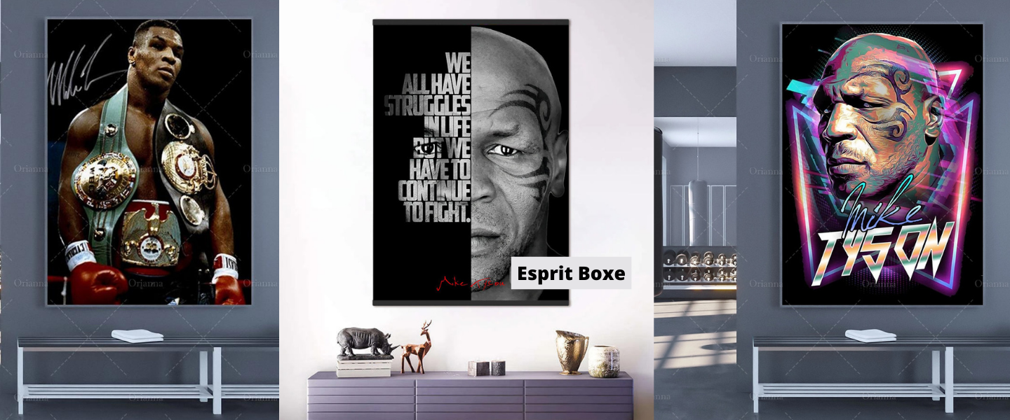 Collection Tableau Boxe