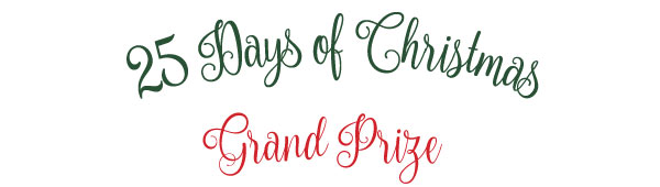 25 Days of Christmas Grand Prize