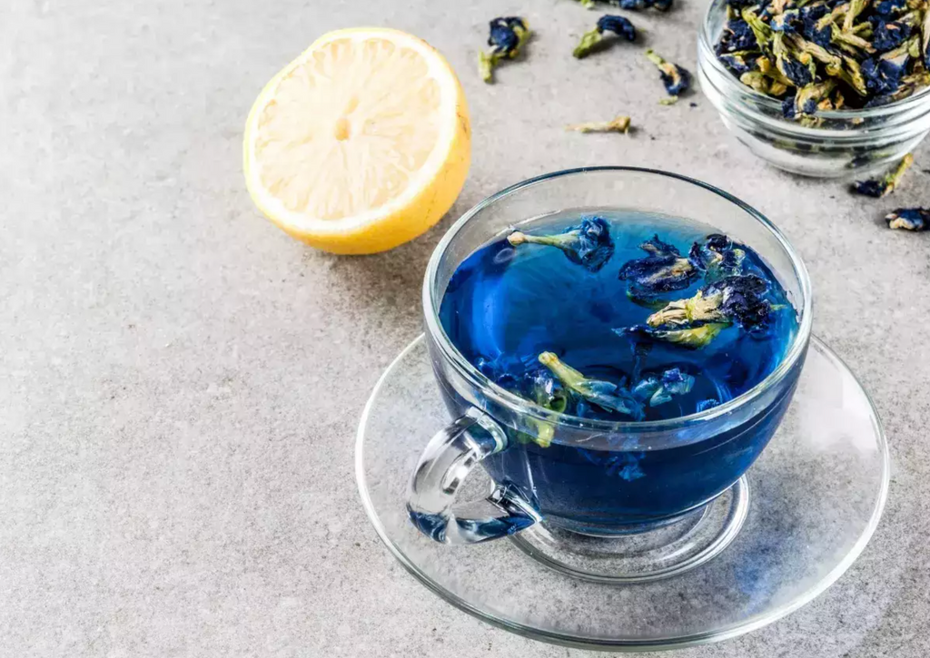 blue pea flower butterfly tea healthy health teas benefits