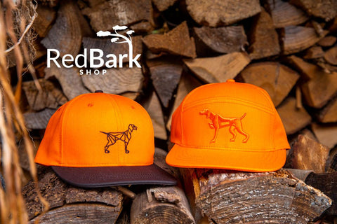 Two blaze orange hunting pointing dog hats