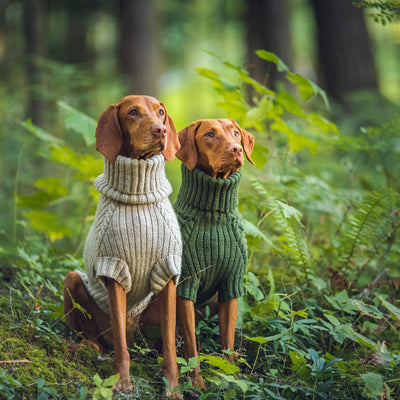 Bravehound Hand-knitted Bird Dog Sweater » The Dog Walks Me