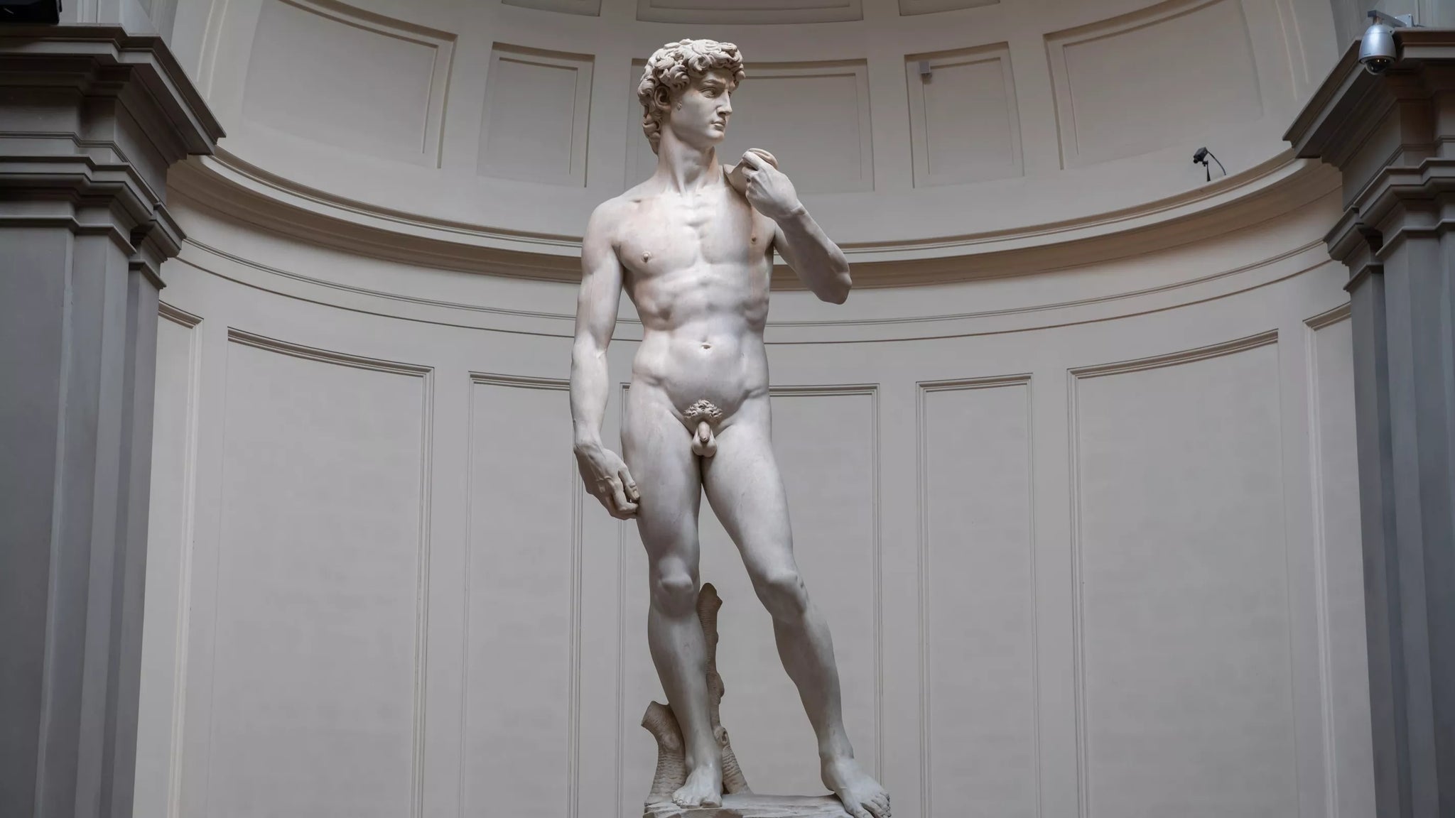 le-david.webp__PID:7ba36aa0-697d-44fa-9734-40ce4692daa5