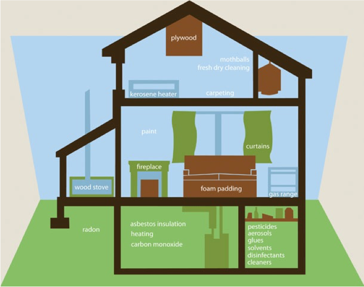 Home pollutants