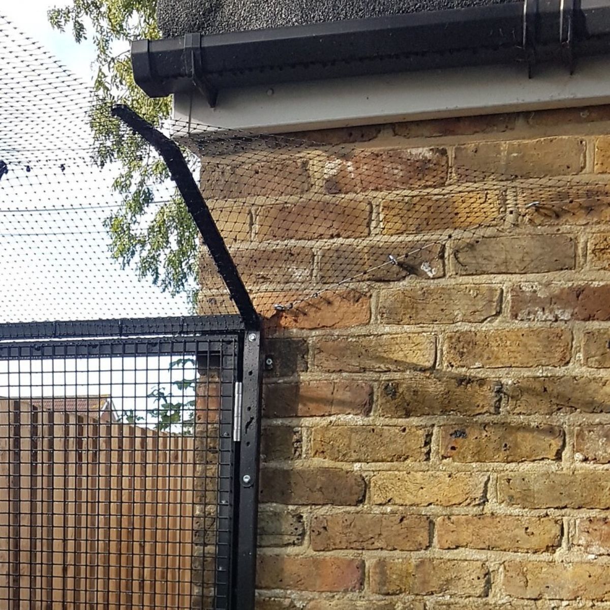 Cat Fence Barriers | Cat Proof Garden | ProtectaPet