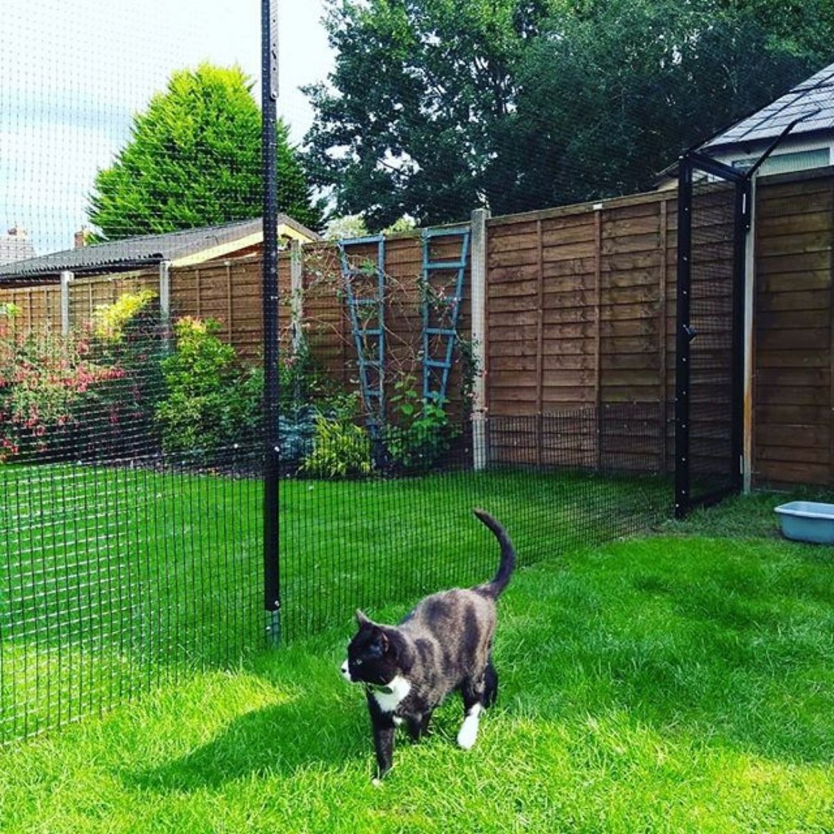 Cat Enclosures, Cat Runs & Cat Fencing UK