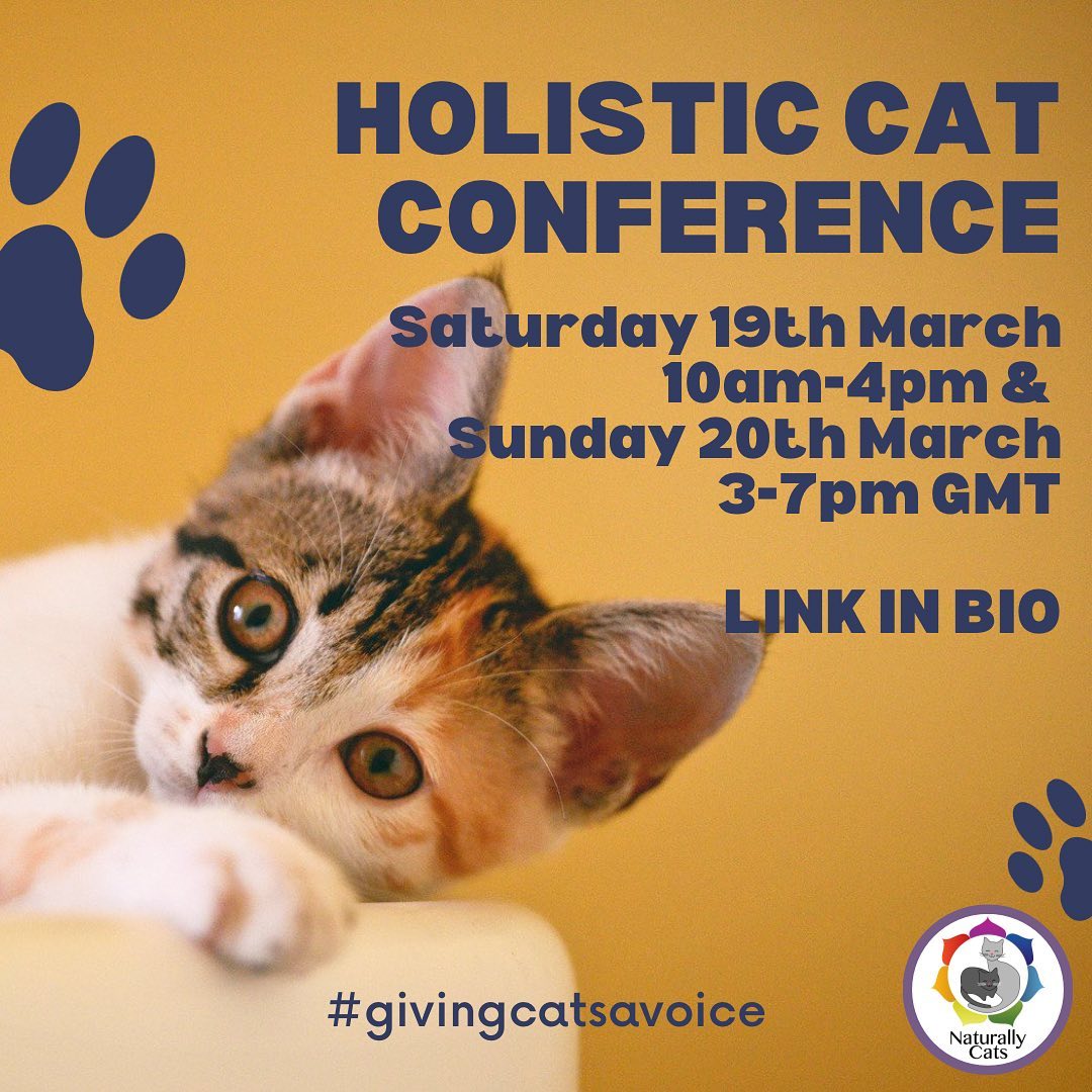 Holistic Cat Conference