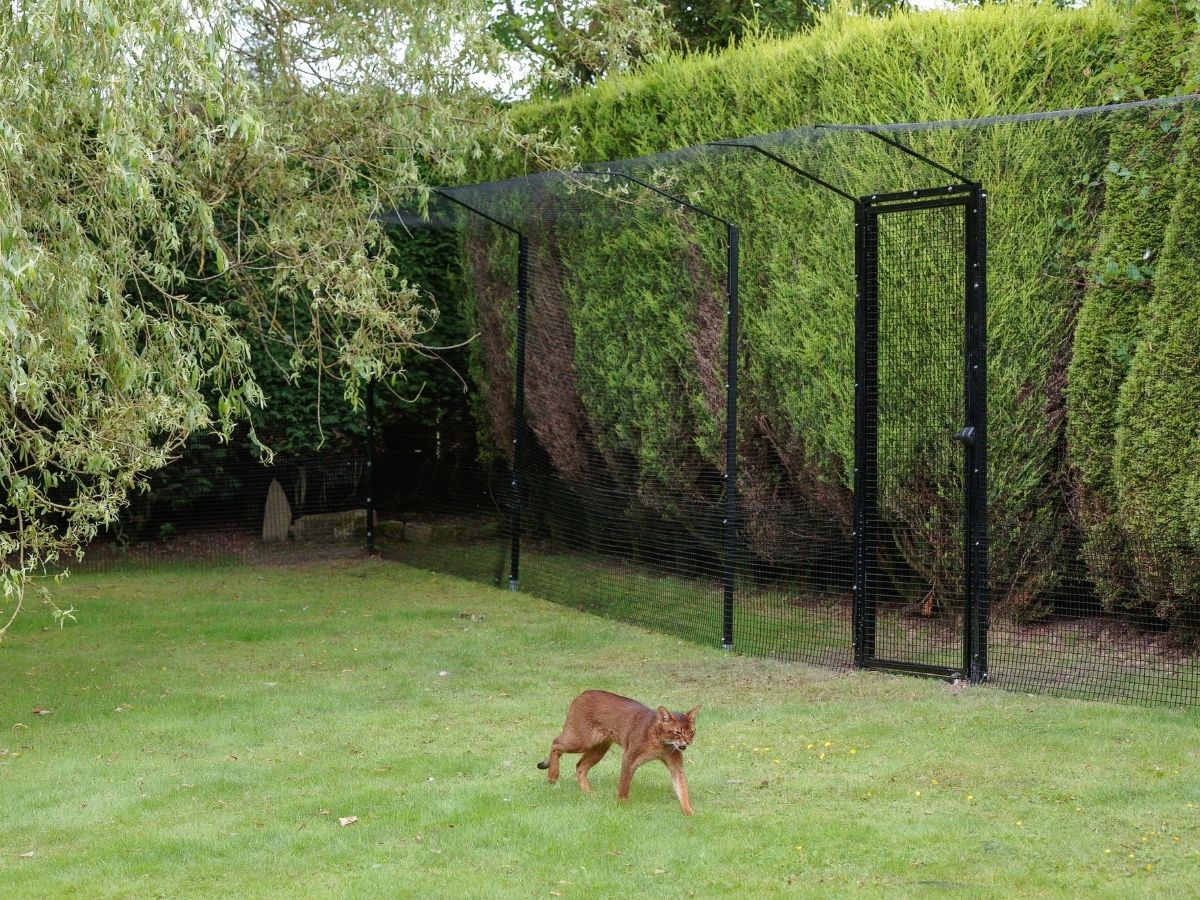 ProtectaPet Cat Enclosure Fencing infront of Hedge