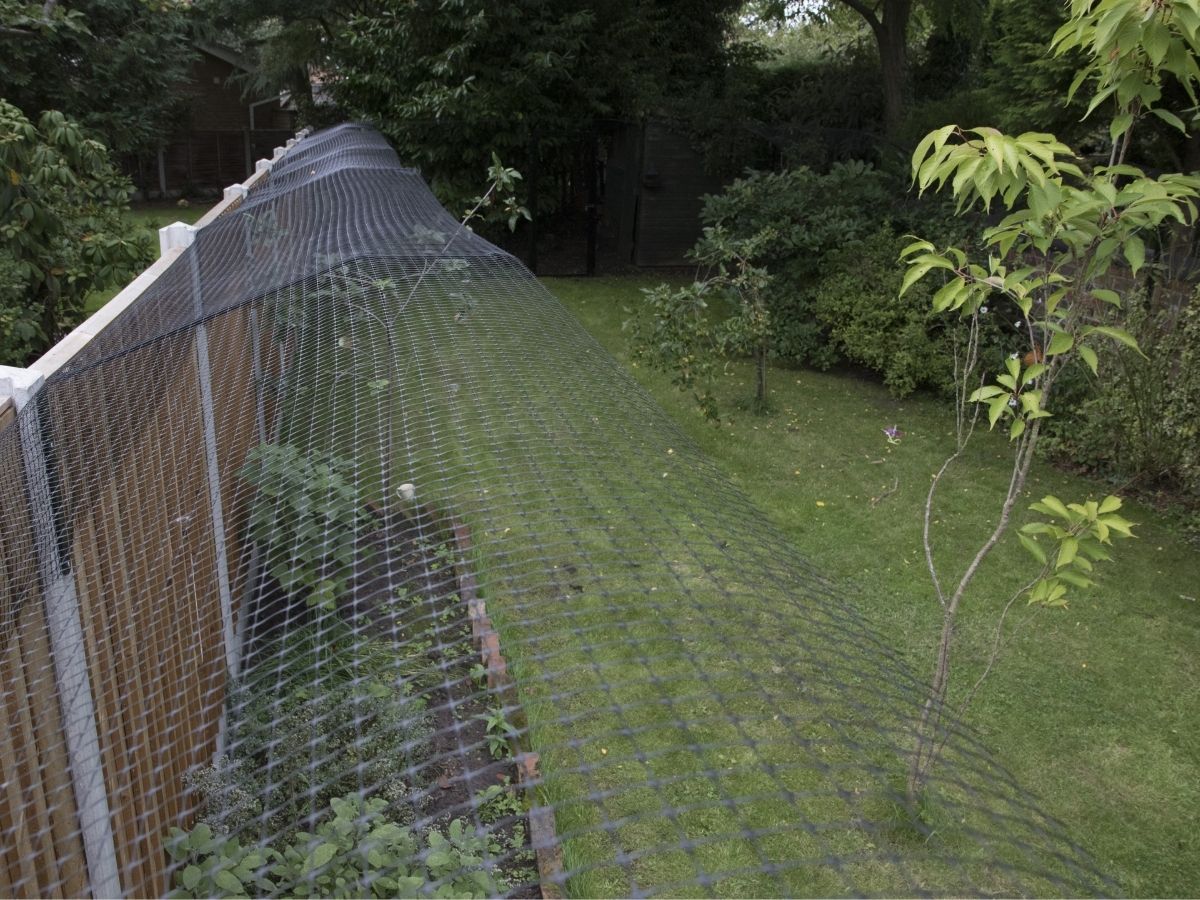 Neighbour's View of ProtectaPet Fence